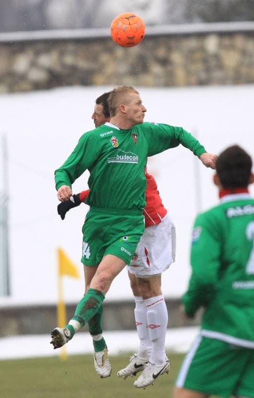 Football. Sparing. Zaglebie Sosnowiec - Wisla Krakow. 19.02.2010