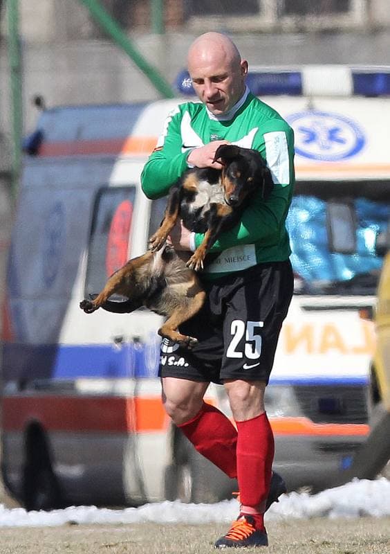 Football. I liga. GKS Tychy - Zawisza Bydgoszcz. 17.03.2013