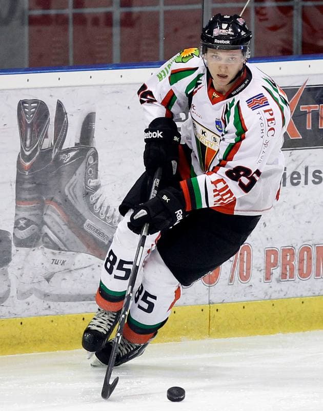 Ice Hockey. Polska Hokej Liga. GKS Tychy - Comarch Cracovia Krakow. 19.01.2014