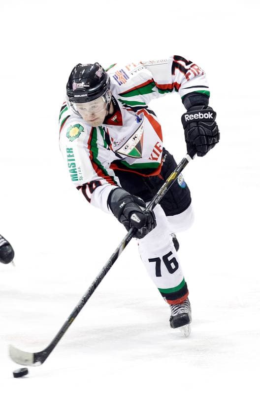 Ice Hockey. Polska Hokej Liga. GKS Tychy - Comarch Cracovia Krakow. 19.01.2014