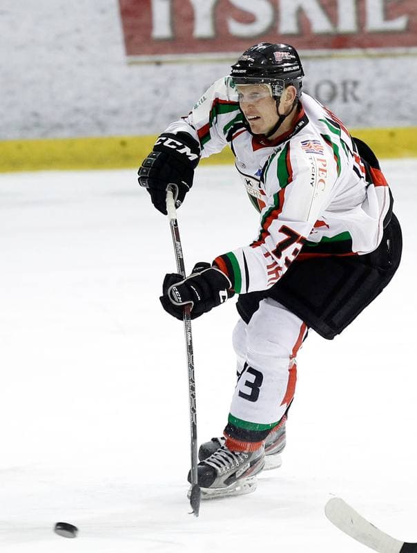Ice Hockey. Polska Hokej Liga. GKS Tychy - Ciarko KH Sanok. 24.01.2014