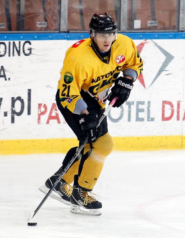 Ice Hockey. Polska Hokej Liga. HC GKS Katowice - Polonia Bytom. 26.01.2014