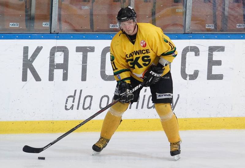 Ice Hockey. Polska Hokej Liga. HC GKS Katowice - KTH Krynica. 21.02.2014