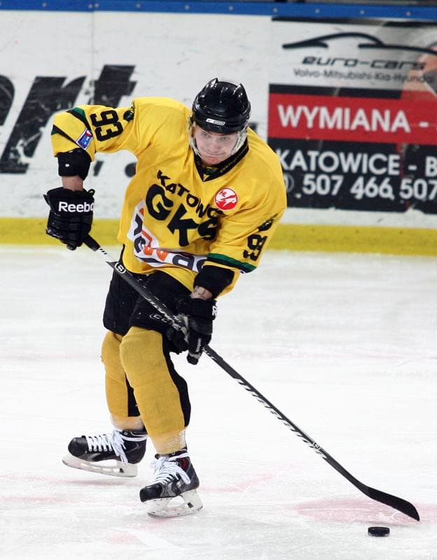 Ice Hockey. Polska Hokej Liga. HC GKS Katowice - Polonia Bytom. 26.01.2014