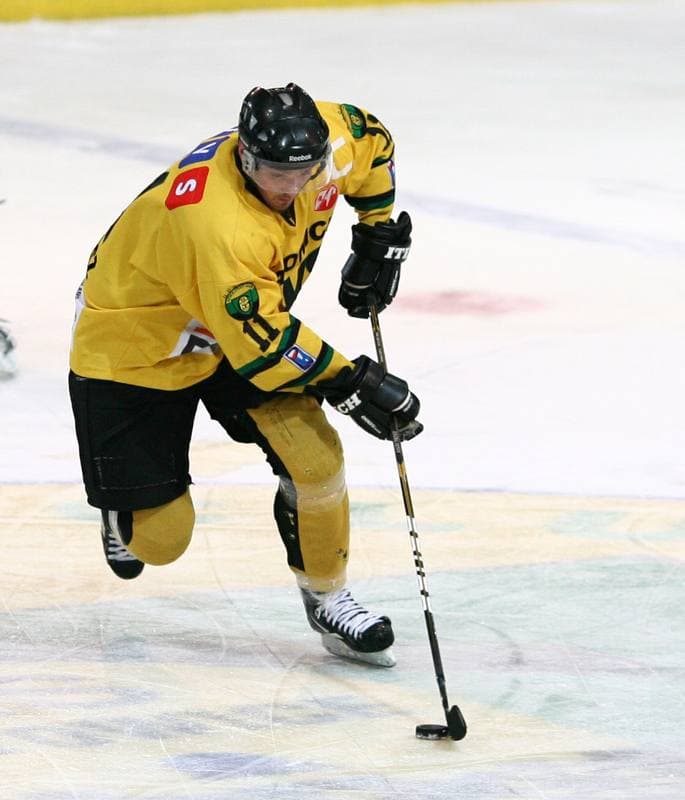 Ice Hockey. Polska Hokej Liga. HC GKS Katowice - JKH GKS Jastrzebie. 16.01.2015