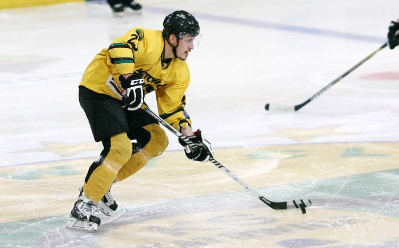 Ice Hockey. Polska Hokej Liga. HC GKS Katowice - JKH GKS Jastrzebie. 16.01.2015