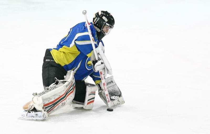 Ice Hockey. Polska Hokej Liga. HC GKS Katowice - Orlik Opole. 30.12.2014
