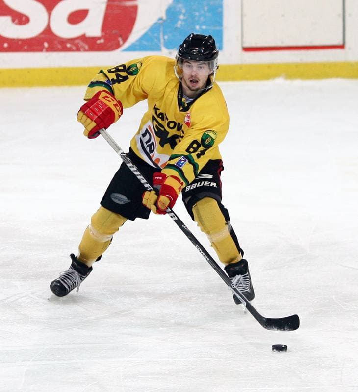 Ice Hockey. Polska Hokej Liga. HC GKS Katowice - Orlik Opole. 30.12.2014