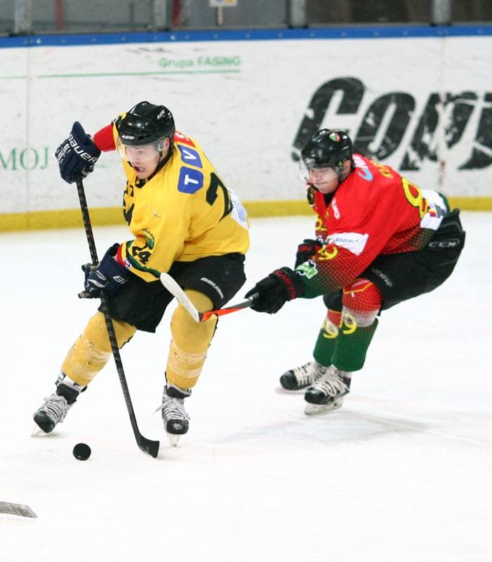 Ice Hockey. Polska Hokej Liga. HC GKS Katowice - Naprzod Janow. 10.02.2015