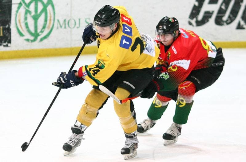 Ice Hockey. Polska Hokej Liga. HC GKS Katowice - Naprzod Janow. 10.02.2015