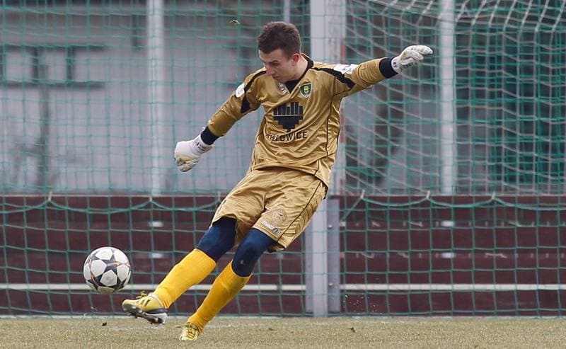 Football. Friendly Match. FC Hradec Kralove - GKS Katowice. 14.02.2015