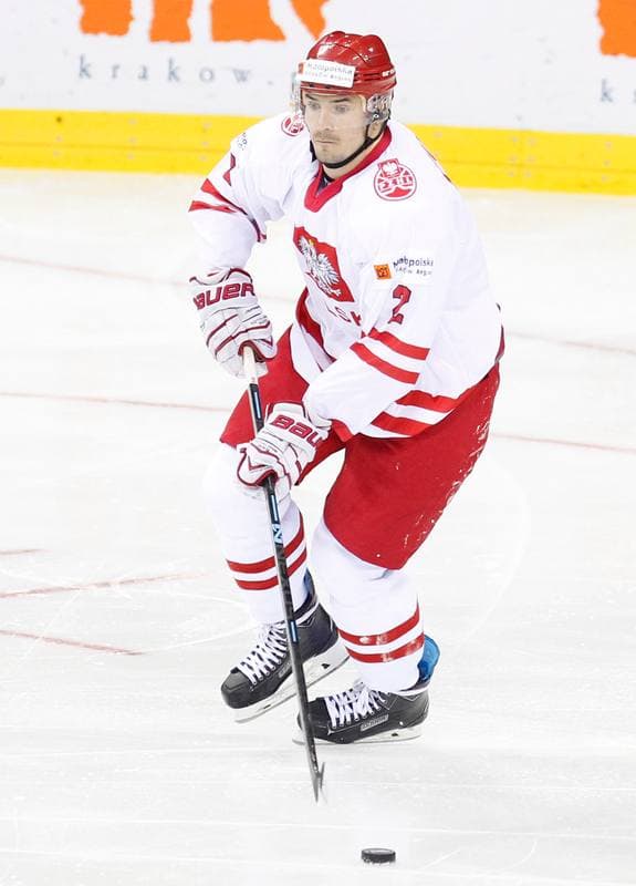Ice Hockey. IIHF World Championship Division 1A. Poland - Japan. 20.04.2015