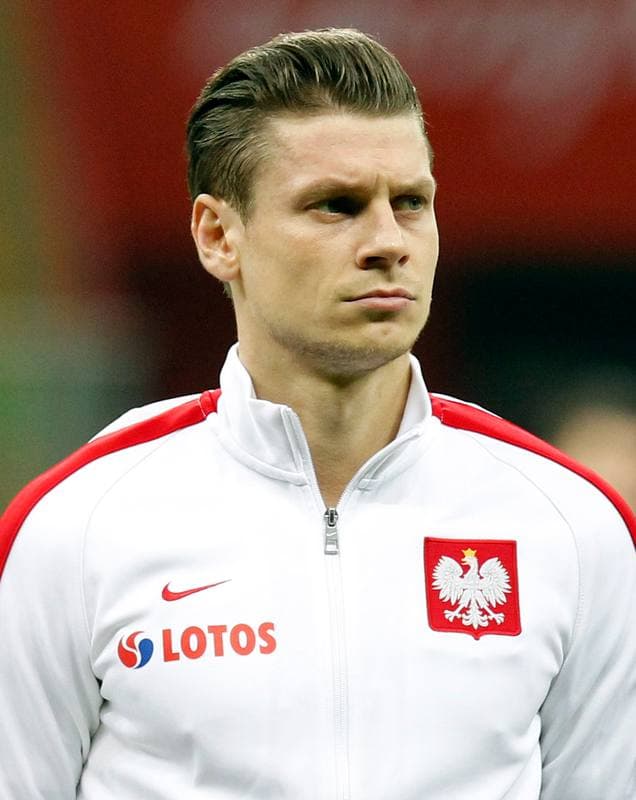 Football. International Friendly. Poland - Iceland. 13.11.2015