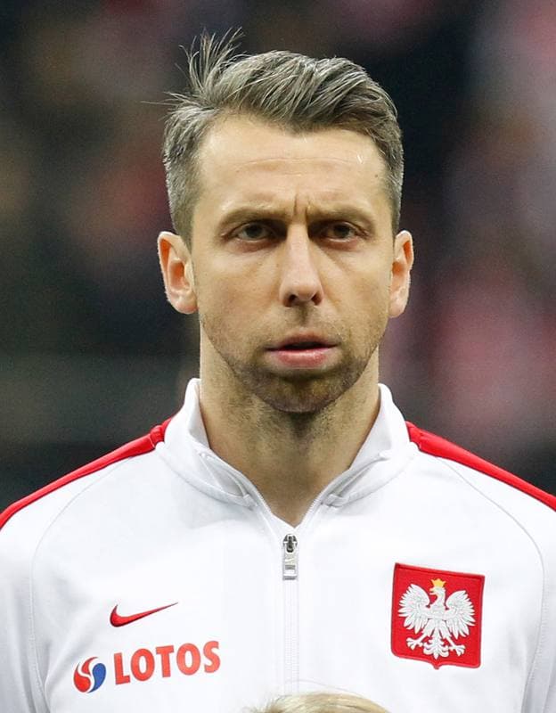 Football. International Friendly. Poland - Iceland. 13.11.2015