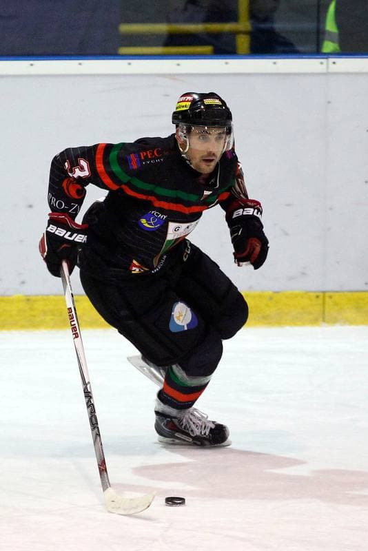 Ice Hockey. Tauron Hokej Liga. Polonia Bytom - GKS Tychy. 23.02.2016