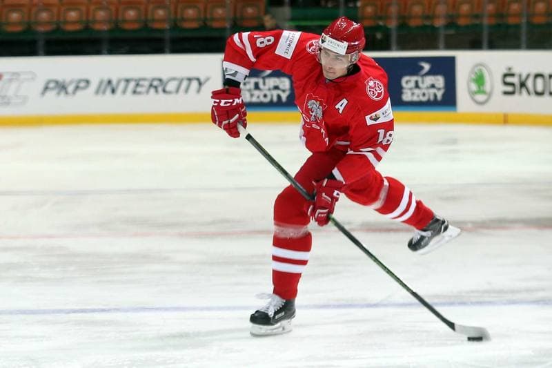 Ice Hockey. World Championship Division 1A. Poland - Korea. 24.04.2016
