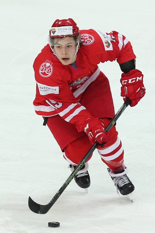 Ice Hockey. World Championship Division 1A. Poland - Japan. 29.04.2016
