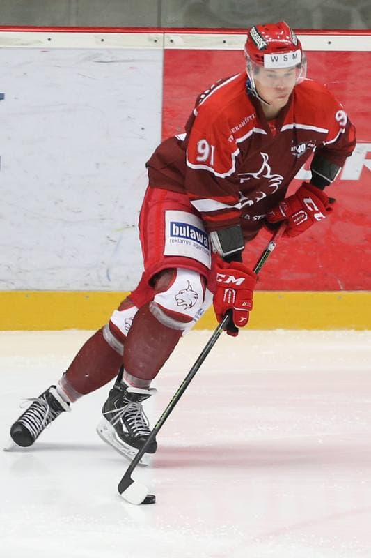 Ice Hockey. WSM Liga. HC Frydek-Mistek - HC Benatky nad Jizerou. 20.02.2017