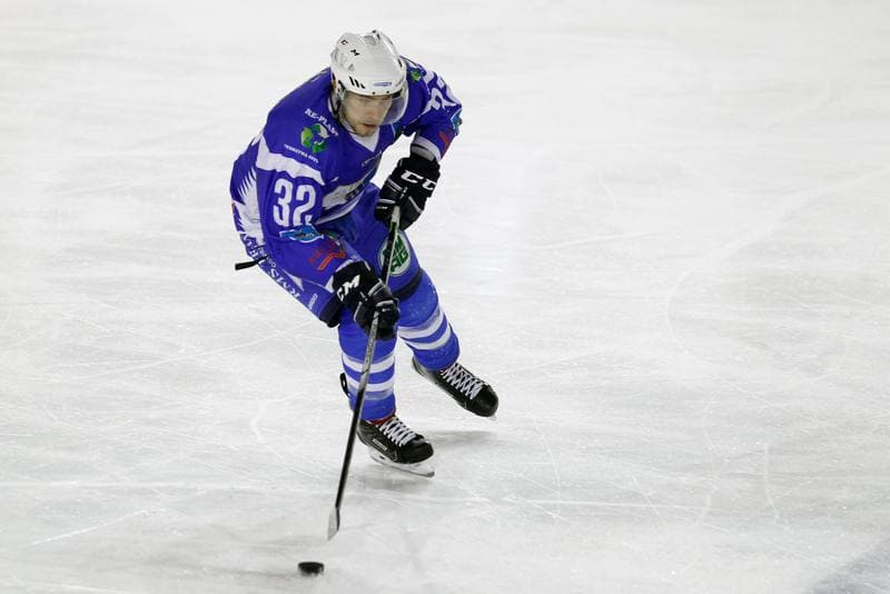 Ice Hockey. Polska Hokej Liga. Zaglebie Sosnowiec - Unia Oswiecim. 01.02.2019