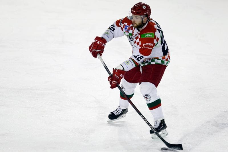 Ice Hockey. Polska Hokej Liga. Zaglebie Sosnowiec - Unia Oswiecim. 01.02.2019