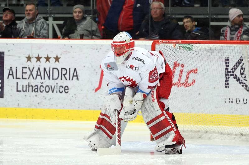 Ice Hockey. Tipsport Extraliga. Ocelari Trinec - Bily Tygri Liberec. 13.02.2019