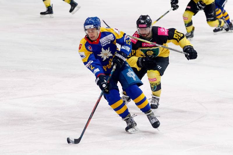 Ice Hockey. Polska Hokej Liga. Tauron KH GKS Katowice - TatrySki Podhale Nowy Targ. 20.01.2019