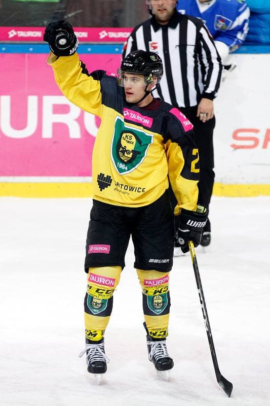 Ice Hockey. Tauron Hokej Liga. Tauron KH GKS Katowice - Unia Oswiecim. 29.01.2019