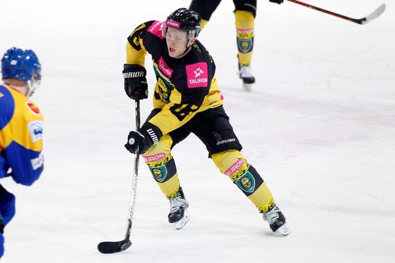 Ice Hockey. Polska Hokej Liga. Tauron KH GKS Katowice - TatrySki Podhale Nowy Targ. 20.01.2019