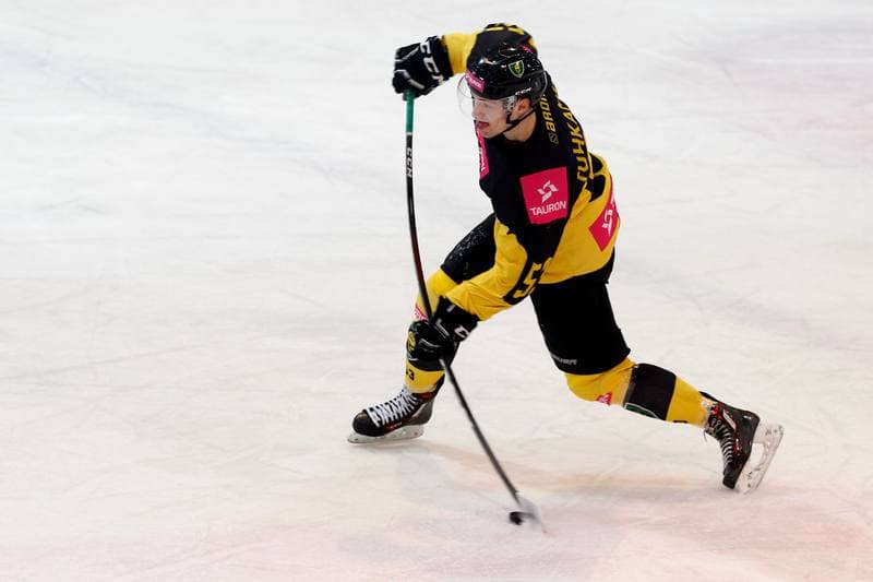Ice Hockey. Polska Hokej Liga. Tauron KH GKS Katowice - TatrySki Podhale Nowy Targ. 20.01.2019