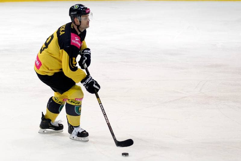 Ice Hockey. Polska Hokej Liga. Tauron KH GKS Katowice - TatrySki Podhale Nowy Targ. 20.01.2019