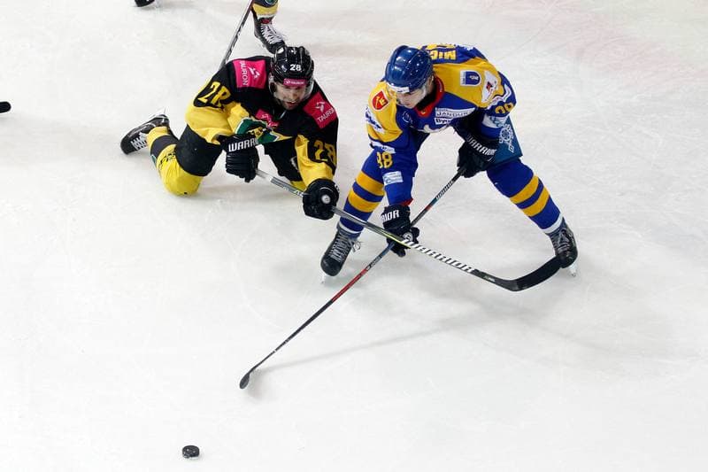 Ice Hockey. Polska Hokej Liga. Tauron KH GKS Katowice - TatrySki Podhale Nowy Targ. 20.01.2019