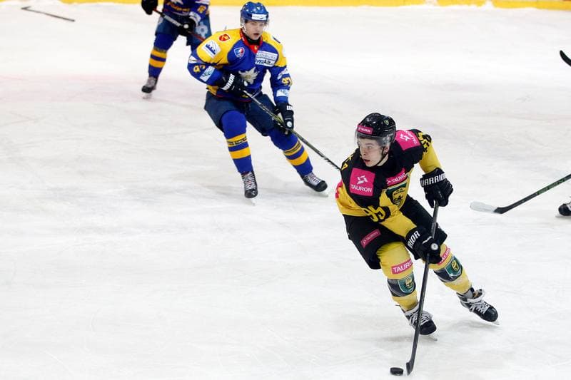 Ice Hockey. Polska Hokej Liga. Tauron KH GKS Katowice - TatrySki Podhale Nowy Targ. 20.01.2019