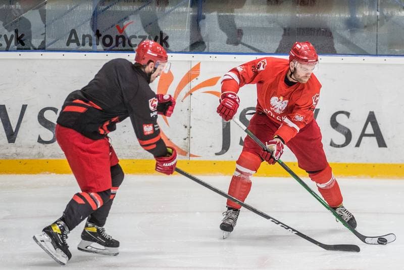 Ice Hockey. Poland national team. Training. 19.08.2021