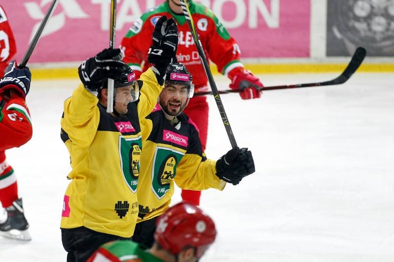 Ice Hockey. Tauron Hokej Liga. Tauron KH GKS Katowice - Zaglebie Sosnowiec. 27.01.2019
