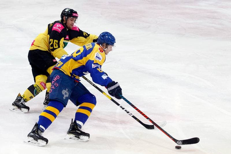 Ice Hockey. Polska Hokej Liga. Tauron KH GKS Katowice - TatrySki Podhale Nowy Targ. 20.01.2019