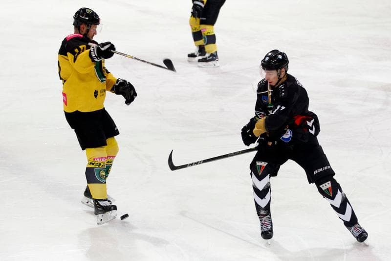 Ice Hockey. Tauron Hokej Liga. Tauron KH GKS Katowice - GKS Tychy. 25.01.2019