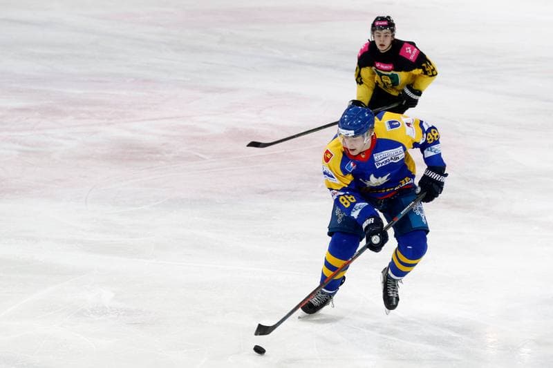 Ice Hockey. Polska Hokej Liga. Tauron KH GKS Katowice - TatrySki Podhale Nowy Targ. 20.01.2019