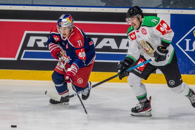 Ice Hockey. Champions Hockey League. JKH GKS Jastrzebie - Red Bull Salzburg. 05.09.2021