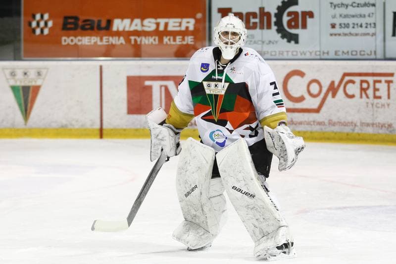 Ice Hockey. Polska Hokej Liga. GKS Tychy - JKH GKS Jastrzebie. 18.01.2019