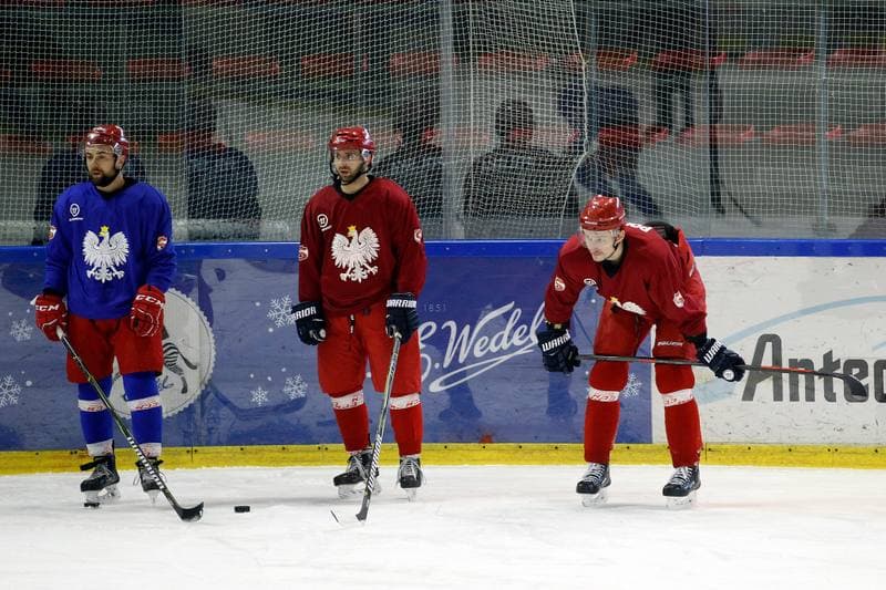Ice Hockey. Poland national team. Training. 13.02.2018