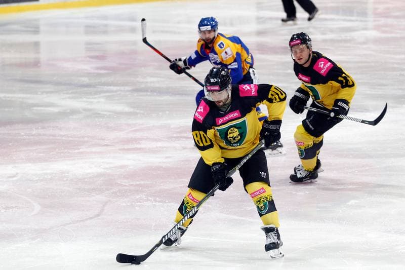 Ice Hockey. Polska Hokej Liga. Tauron KH GKS Katowice - TatrySki Podhale Nowy Targ. 20.01.2019