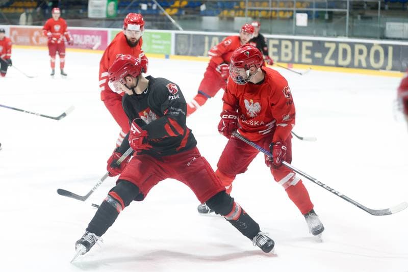 Ice Hockey. Poland national team. Training. 02.04.2024