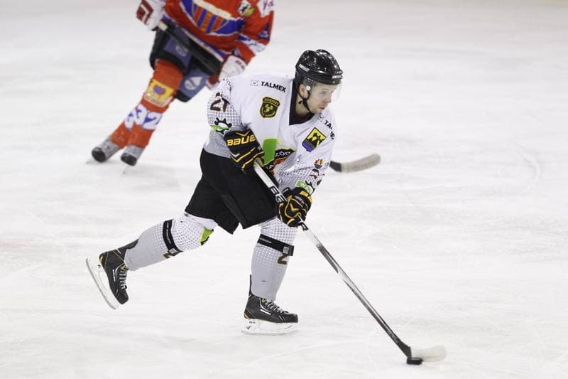 Ice Hockey. Polska Hokej Liga. Naprzod Janow - Polonia Bytom. 09.10.2014