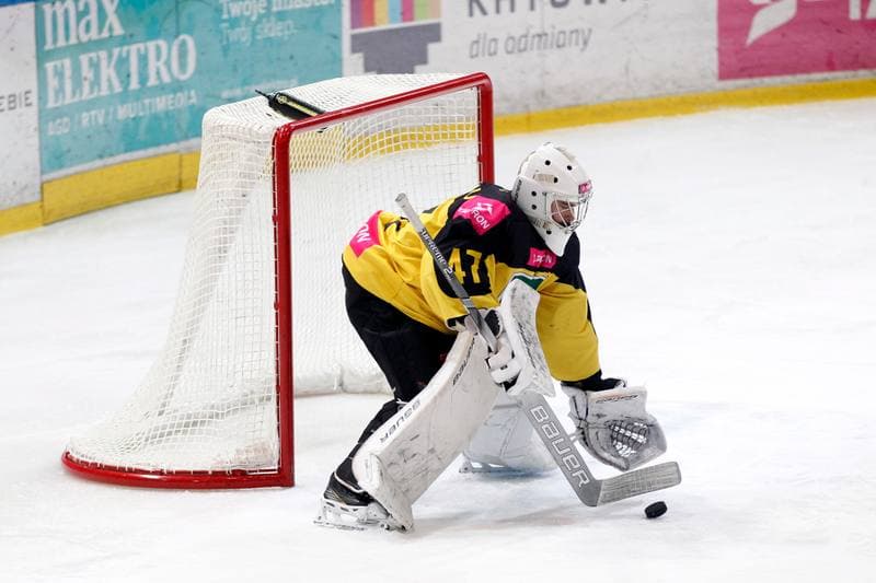 Ice Hockey. Polska Hokej Liga. Tauron KH GKS Katowice - TatrySki Podhale Nowy Targ. 20.01.2019