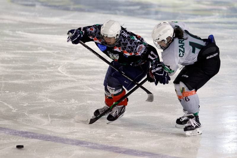 Ice Hockey. PLHK. Naprzod Janow - Atomowki Tychy. 03.02.2018