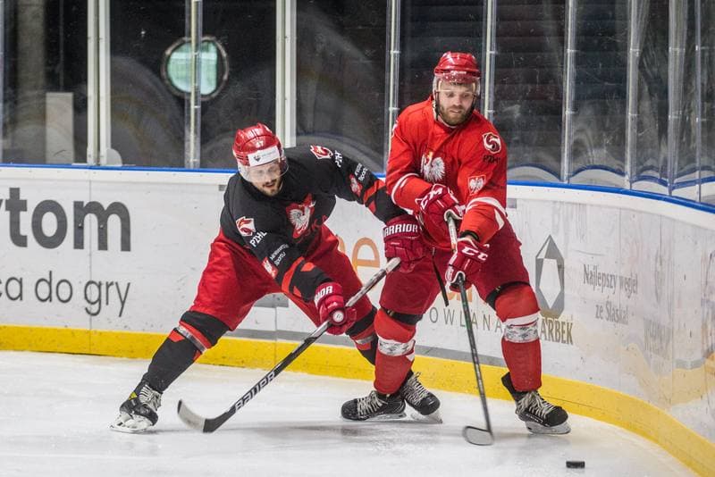 Ice Hockey. Poland national team. Training. 22.07.2021