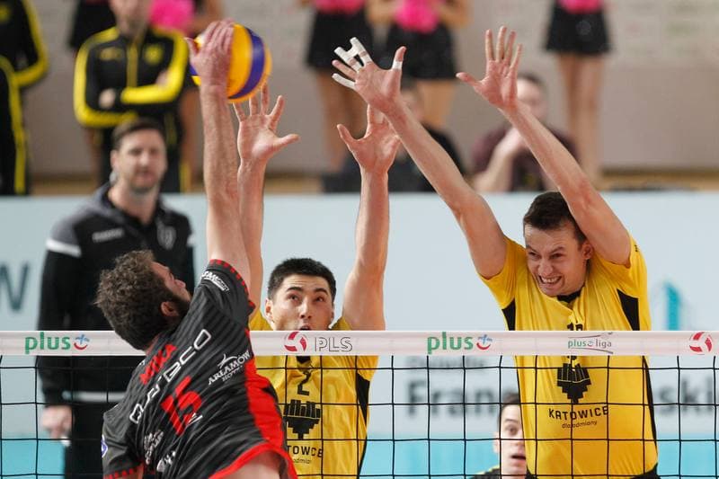 Volleyball. PlusLiga. GKS Katowice - Asseco Resovia Rzeszow. 20.01.2019