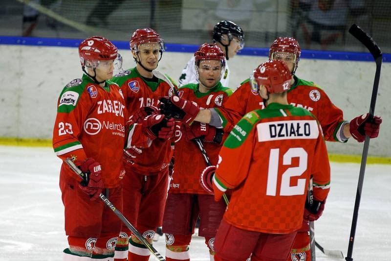 Ice Hockey. Polska Hokej Liga. Naprzod Janow - Zaglebie Sosnowiec. 23.02.2019