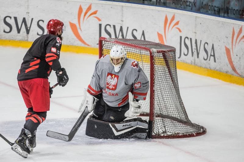 Ice Hockey. Poland national team. Training. 19.08.2021