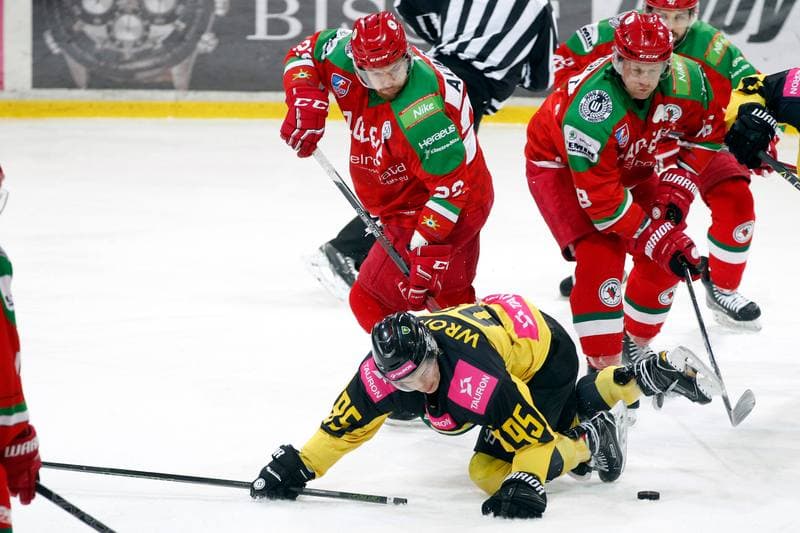 Ice Hockey. Tauron Hokej Liga. Tauron KH GKS Katowice - Zaglebie Sosnowiec. 27.01.2019